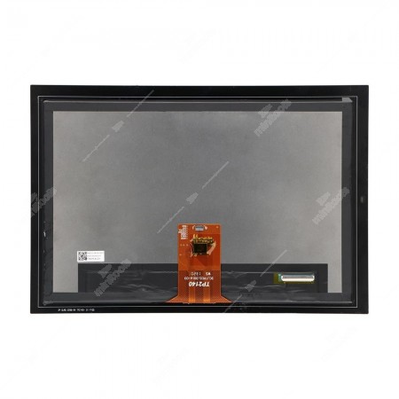 Pannello LCD OSD101T4118-58TS